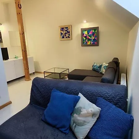 Beachfront Art Gallery Mansard One Bedroom In Historic Bath-house