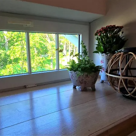 Apartment Beachfront Art Gallery Mansard One Bedroom In Historic Bath-house