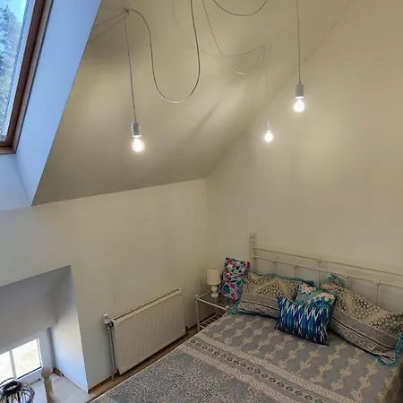 Apartman Beachfront Art Gallery Mansard One Bedroom In Historic Bath-house Jūrkalne